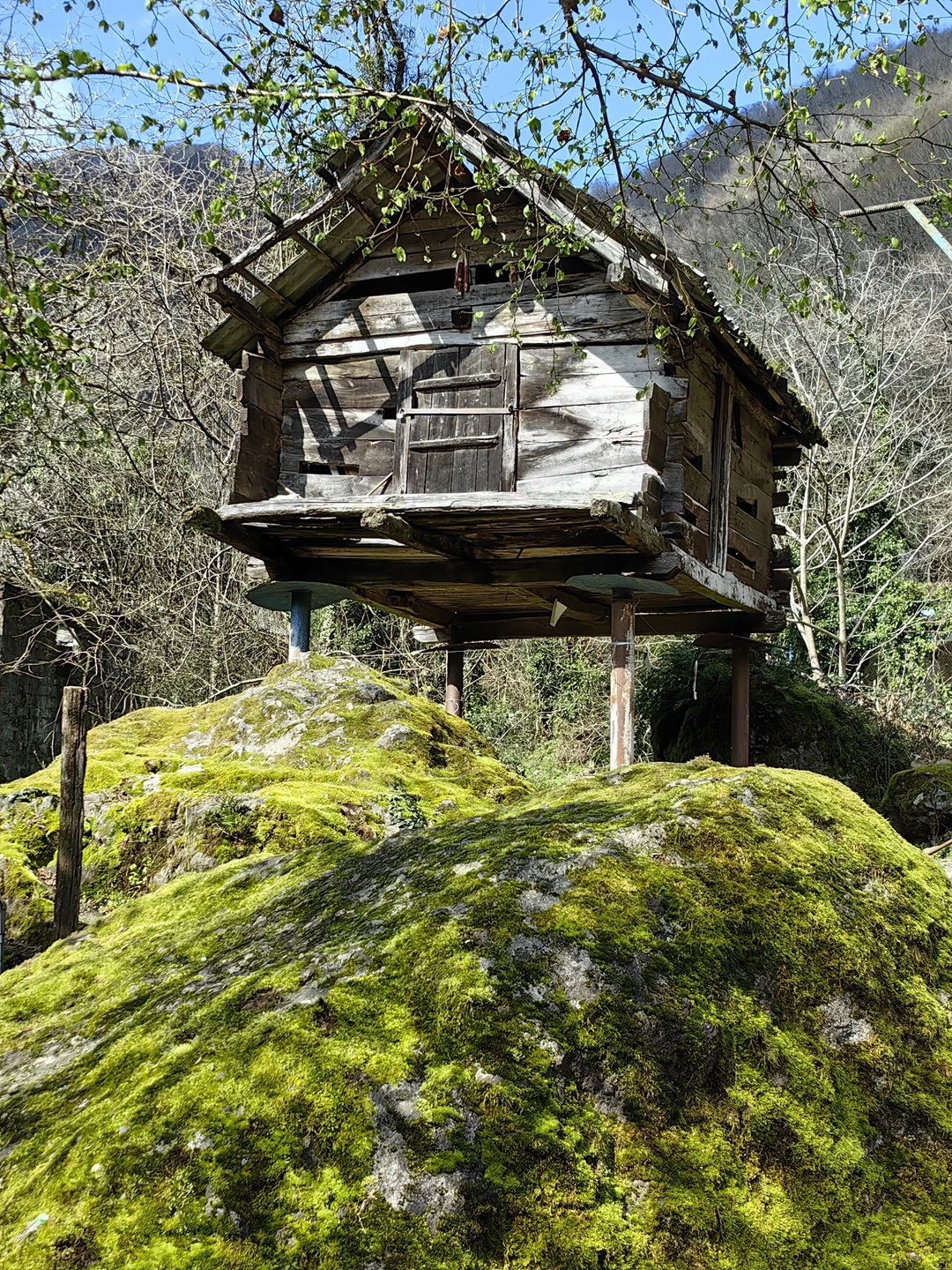 Прекрасная экскурсия, шикарные виды, водопады впечатляют! Всё было оооочень интересно, активно и с юмором:) Каха -