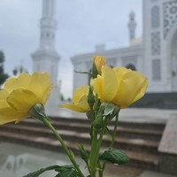 reviews img