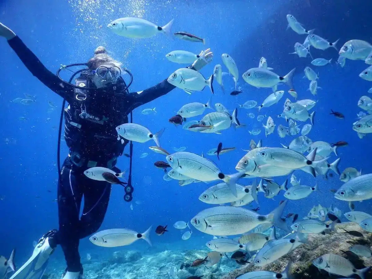 Дайвинг в Кемере — из Аланьи