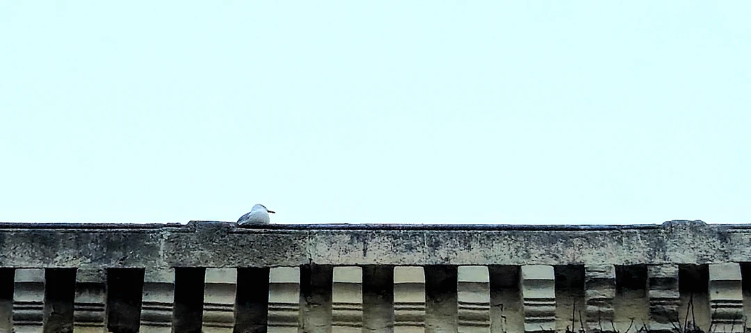 Знакомство со Стамбулом: Старый город + прогулка по Босфору (Александр)