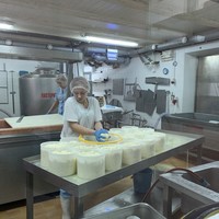 Фото отзыва 3: экскурсия "Тильзит — город мира и сыра!"