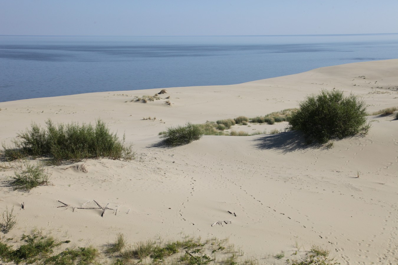 Уникальные ландшафты Куршской косы
