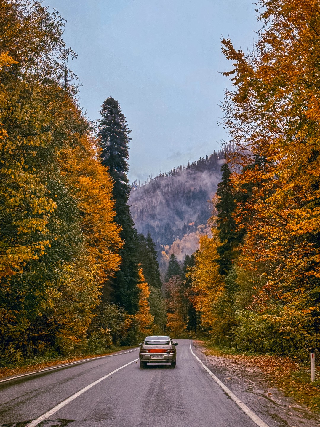 Ездили в Домбай с гидом Павлом на минивэне, все прошло замечательно: застали невероятно красивую осень в