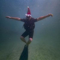 Фото отзыва 2: экскурсия "Фукуок и его подводный мир: дайвинг с инструктором + обед"