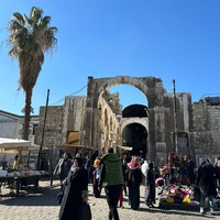 Фото отзыва 1: экскурсия "Душевное путешествие по Сирии: мировые святыни, винодельня и гостеприимные жители"