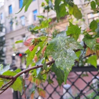 Фото отзыва 5: экскурсия "Долой стыд! Эрос и мистика Серебряного века"