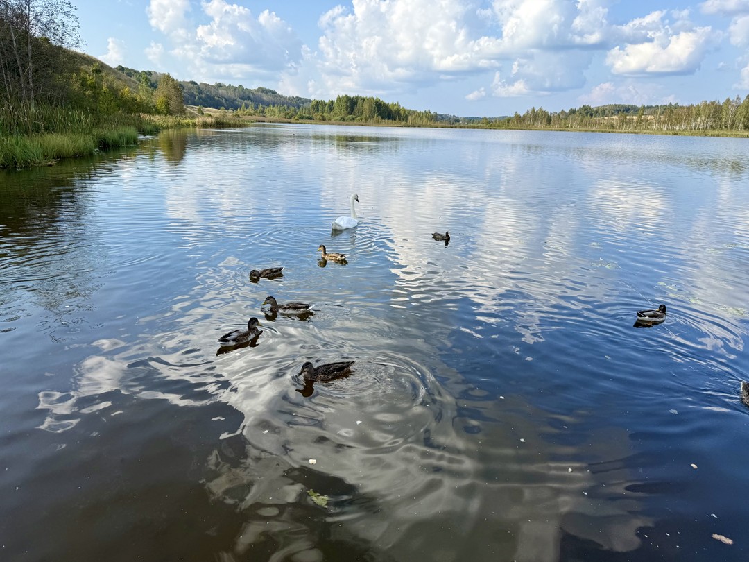 Русь стародавняя: Изборск и Псково-Печерский монастырь (Станислав)