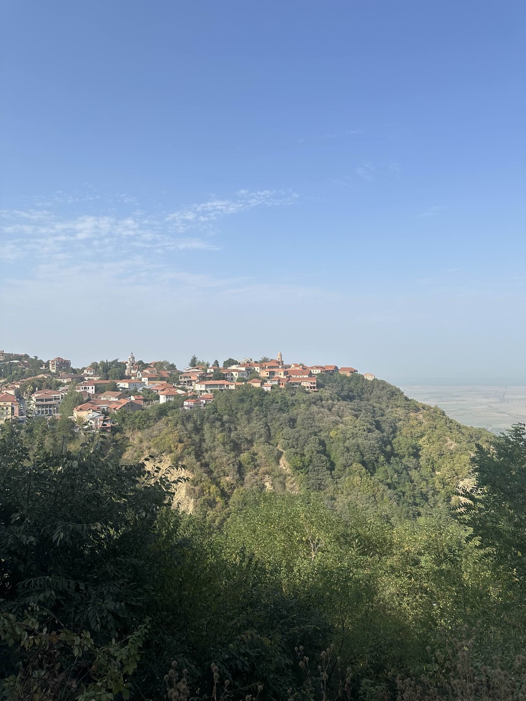Гамарджоба, Кахетия, винный край (Елена)