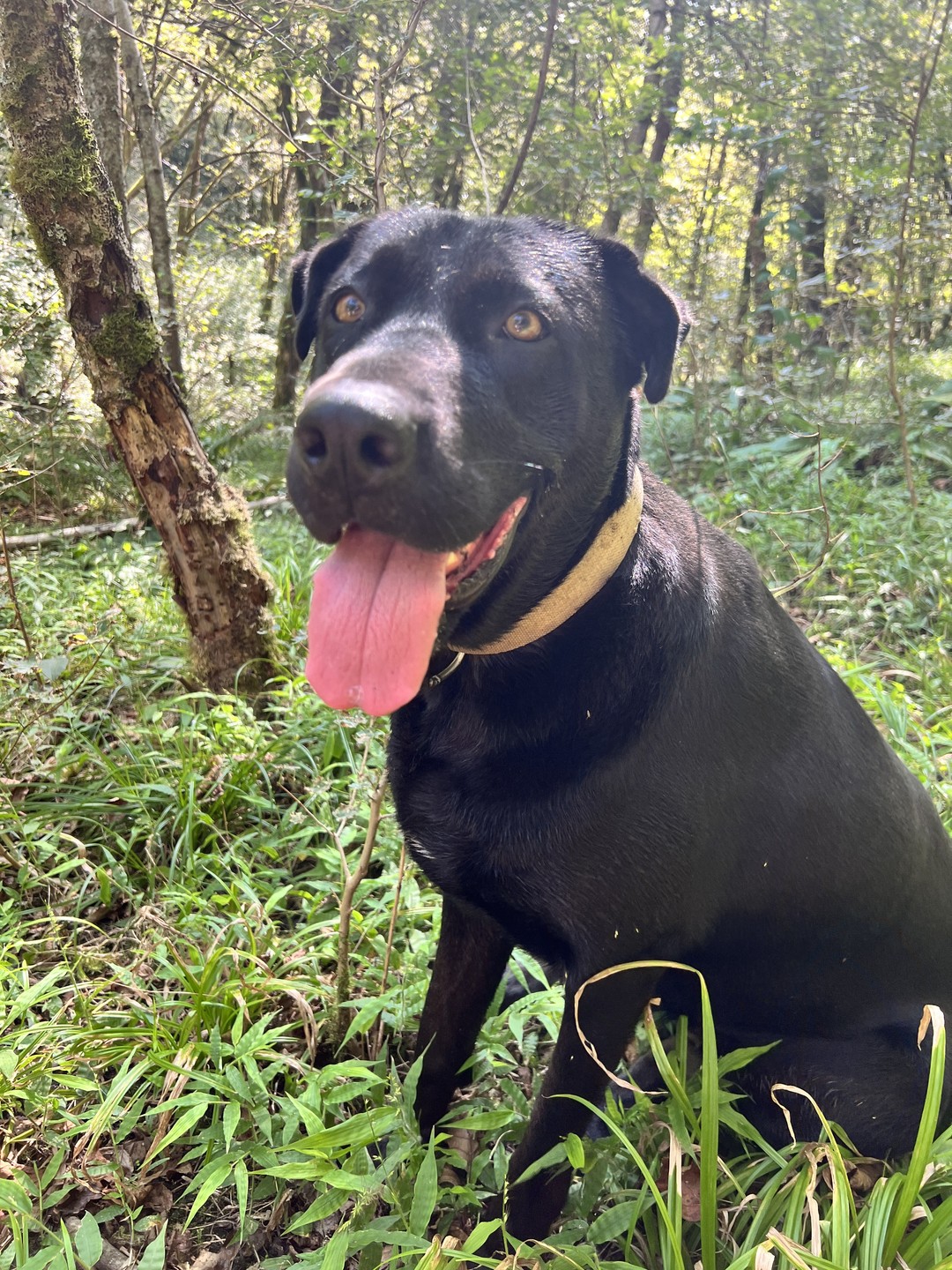 Пятидневный релакс в компании гор, моря и душевных хозяев этого места! Идеальный график занятий и прогулок,