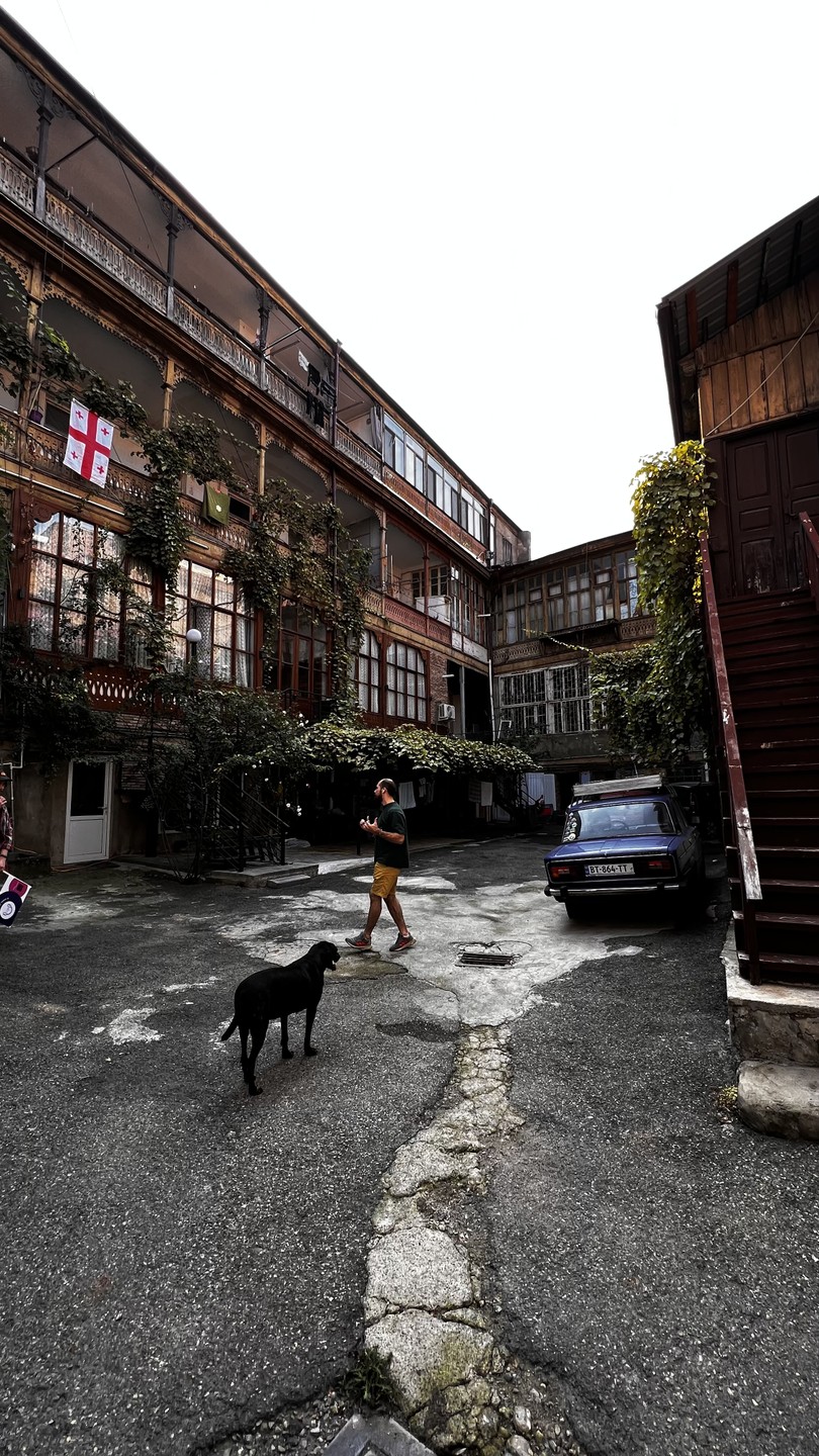 Wow! Это был наш первый опыт в экскурсии такого формата! И это реально Wow! Это живые