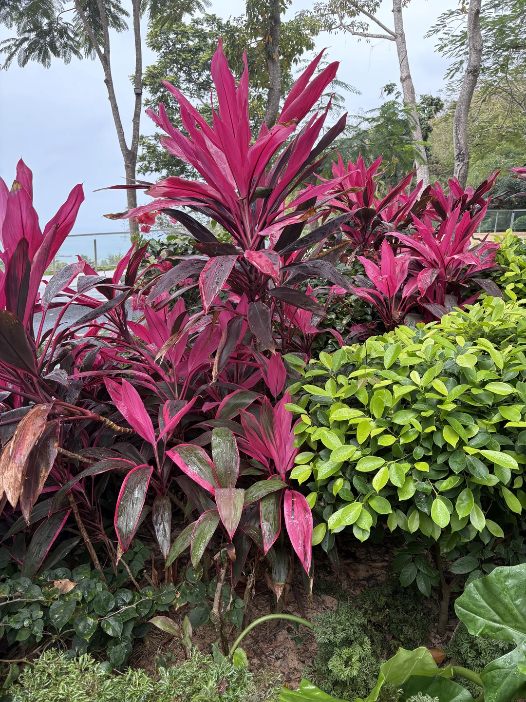 Гид доброжелательный русскоговорящий китайский парень по имени Иван(русский вариант). Удобная чистая машина. Маршрут соответствовал описанию. Сам