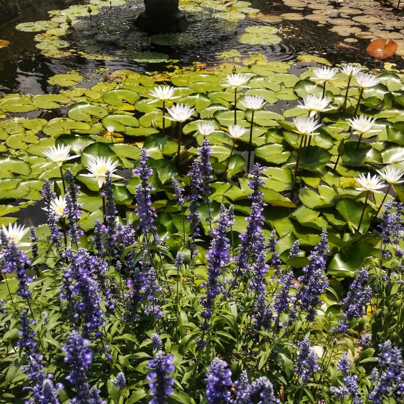 Очень понравилась данная экскурсия и экскурсовод. Сразу виден многолетний опыт и огромный пласт знаний. Так получилось