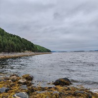 Фото отзыва 3: экскурсия "Из Мурманска в Кандалакшу — на Белое море!"