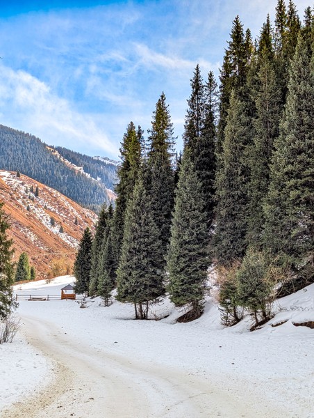 Очень комфортная экскурсия в мини-группе. Отлично выстроен тайминг, на Чарынский каньон приехали в 8:00, до наплыва