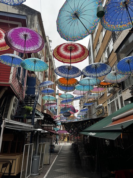 Неподражаемый Стамбул (Ольга)