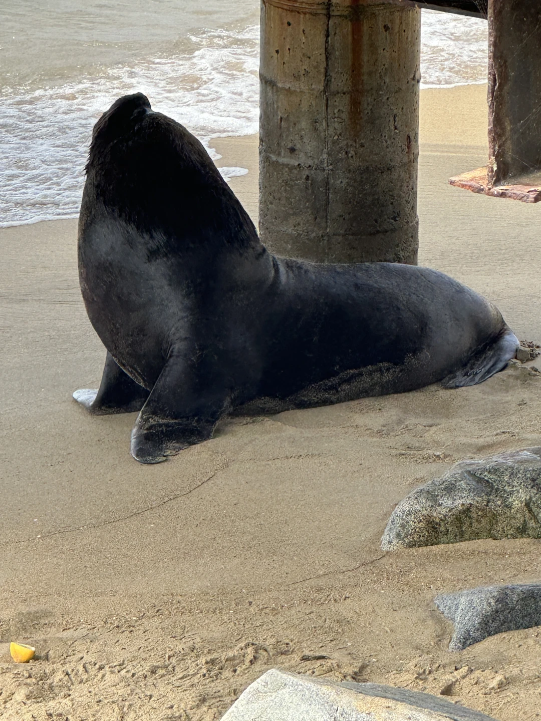 Организовано всё отлично! Провели шикарный день в Чили! Очень рекомендуем данный маршрут!