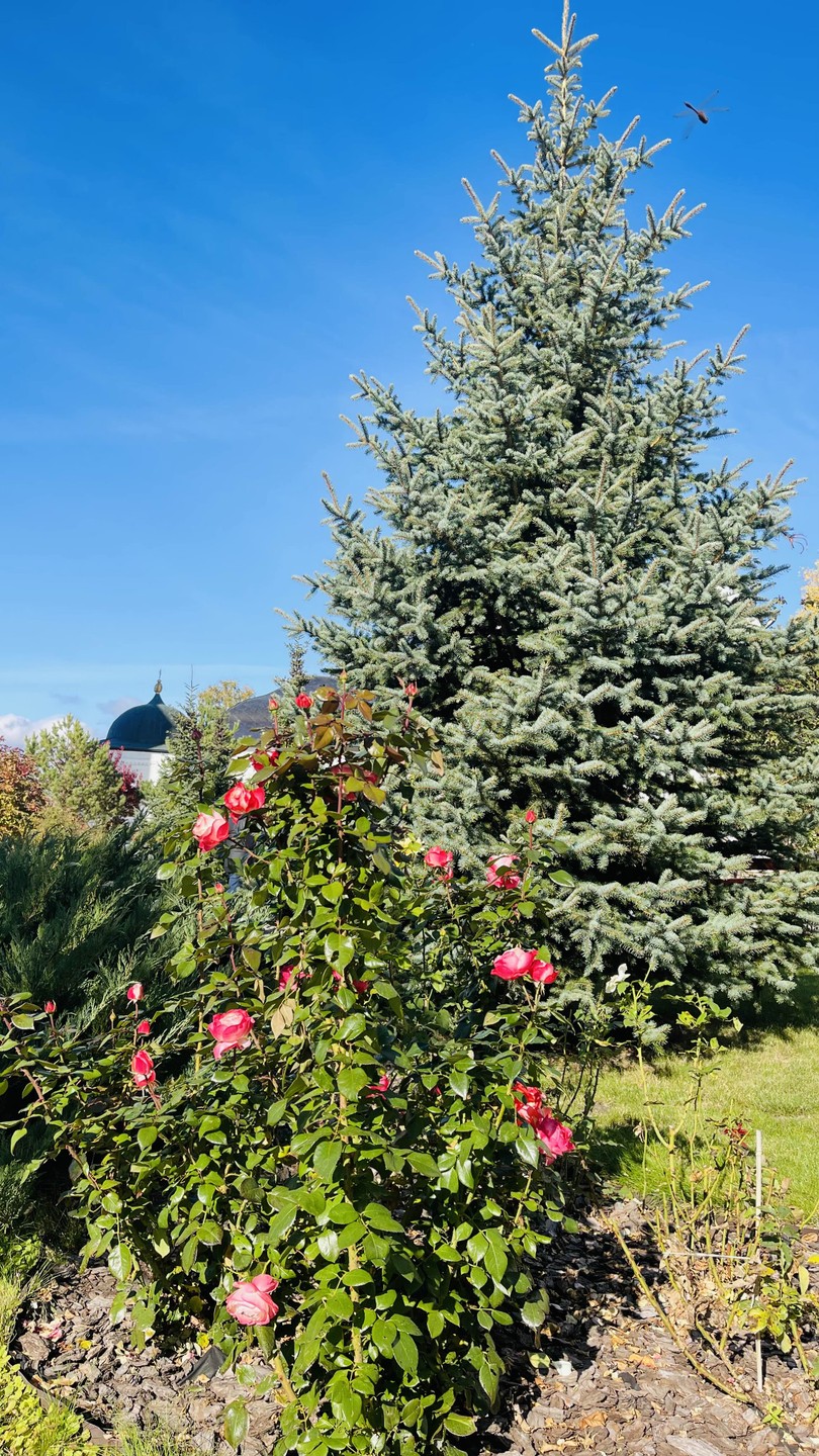 Чингиз,привет из Москвы! Спасибо за потрясающее знакомство со Свияжском. Вы сумели показать и рассказать так, как