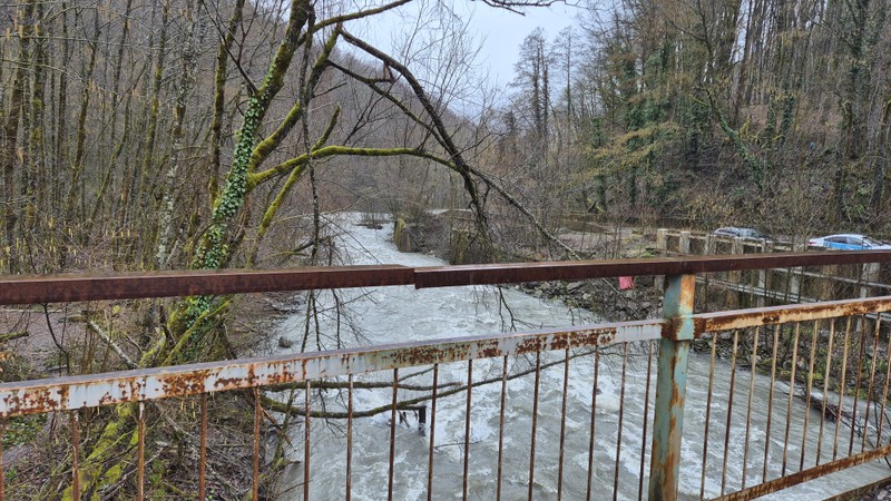 Красная Поляна, «Роза Хутор» и Парк альпак (Алексей)