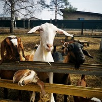 Фото отзыва 1: экскурсия "Бабигонские высоты: прогулка по-царски"