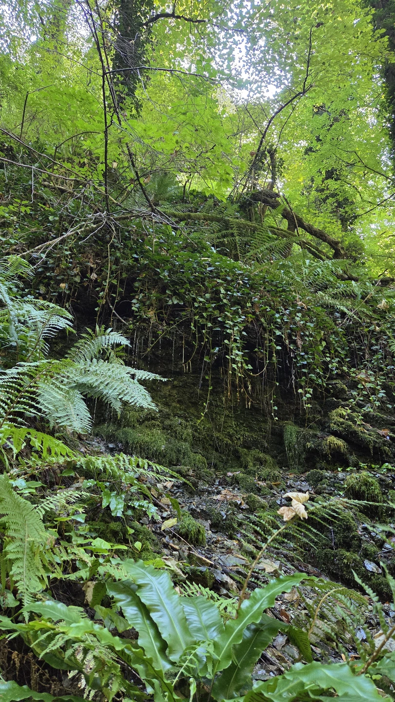 Это для меня была самая лучшая экскурсия! Проводник Илья, очень культурный и вежливый, спокойный и уравновешенный