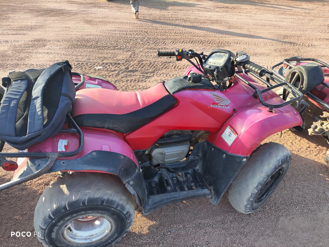 На квадроциклах в группе: сафари в Шарм-эль-Шейхе (Илья)