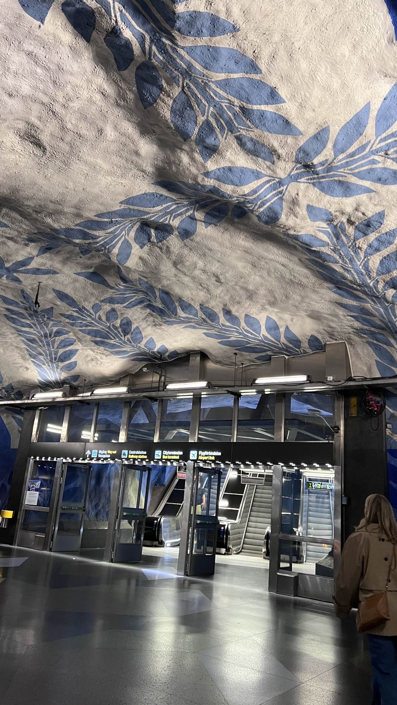 Спасибо Валентине за прекрасную прогулку по метро. Красивейший дизайн в сочетании с любопытными фактами от Валентины просто сделали мой день. Супер!