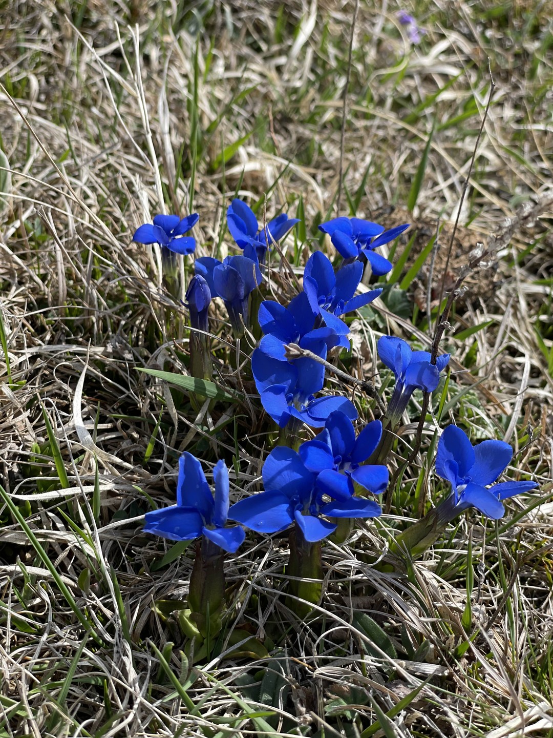 Самая лучшая экскурсия из всех на которых мы смогли побывать в Дагестане. 🗻⛰️🏔️Нурав профессионал своего дела