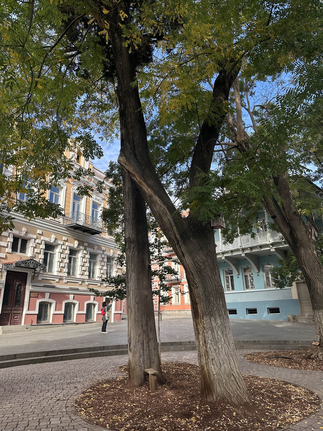 Понравилось все на 100%. Красивый маршрут, живые интересные рассказы, приятная красивая женщина Мария. Очень колоритная, вкусная