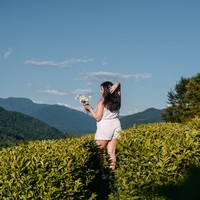 Фото отзыва 2: экскурсия "Чайные плантации Солох-Аула и долина Шахе + фотосессия"