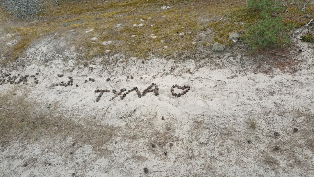 Это не экскурсия- это не мечта