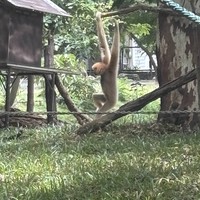Фото отзыва 2: экскурсия "Всё включено! Лучшие места в районе Паттайи"