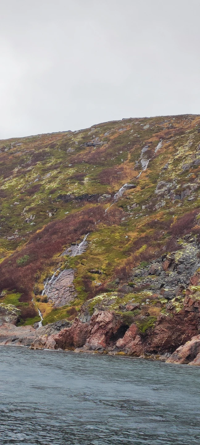 Спасибо, все было отлично наш гид-водитель Николай очень внимательный и приятный, все было душевно, машина чистая,