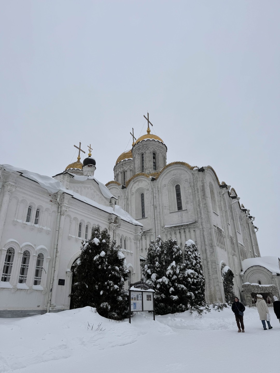 Руфина - отличный рассказчик, было интересно слушать, живая, понятная, энергичная подача материала