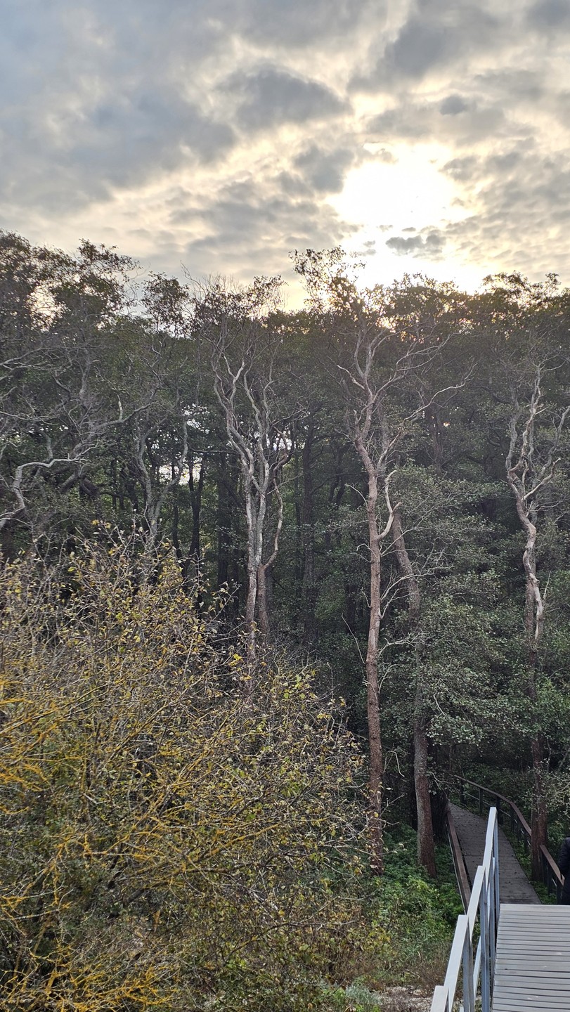 Комфортная поездка на Куршскую косу (Гульшат)