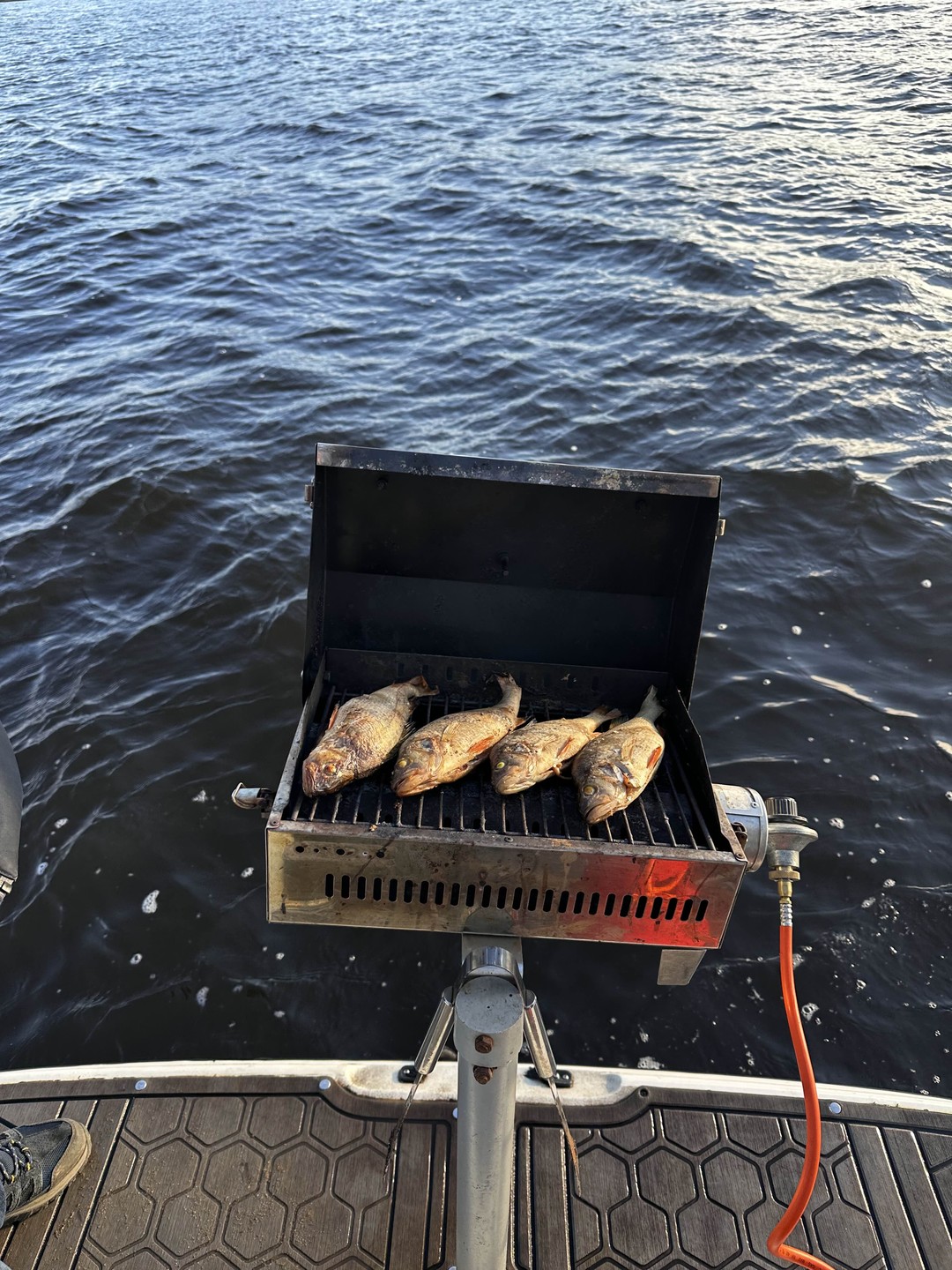 Отличная прогулка, посмотрели монумент мать Волга, услышали про корабли, про рыбу, надо сказать что нам очень