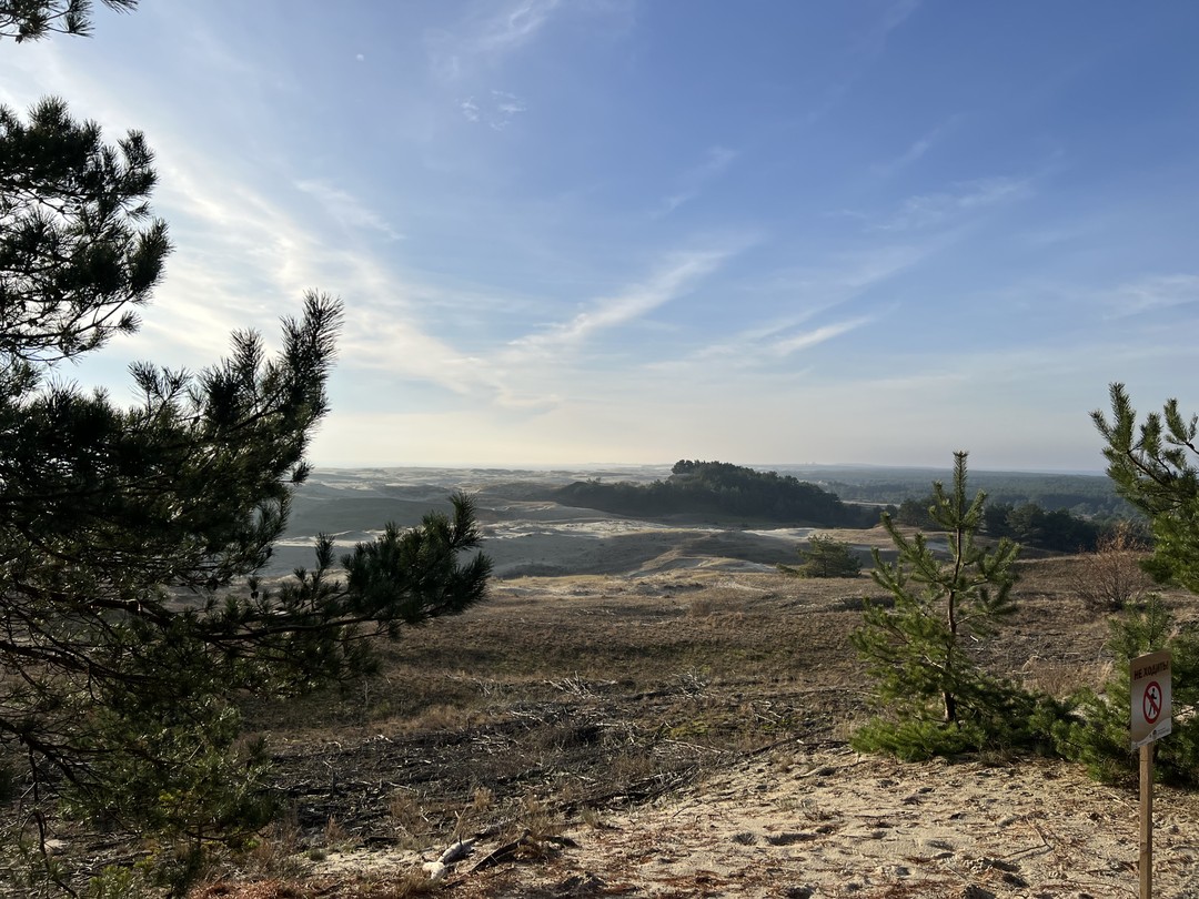 Замечательно провели время! Так нежно и так бережно берегут калининградцы рукотворный нетронутый цивилизацией маленький клочок земли!