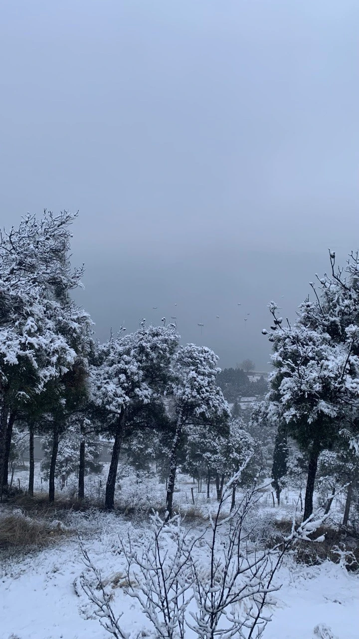 Были на экскурсии в конце Января, в лесу было много снега (что редкость для Тбилиси, было