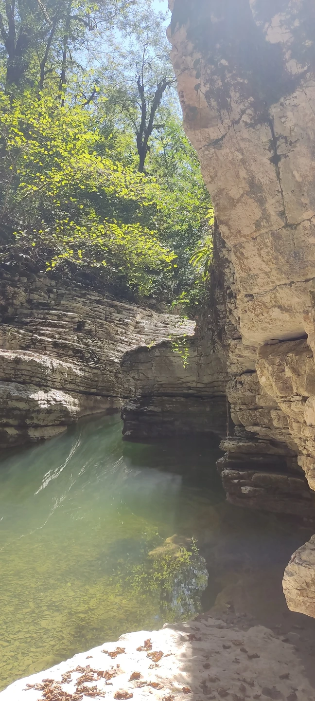 Хочу сказать огромное спасибо Даниилу, отличный парень, коренной сочинец, обожающий природу Сочи, знающий почти всё глубинки