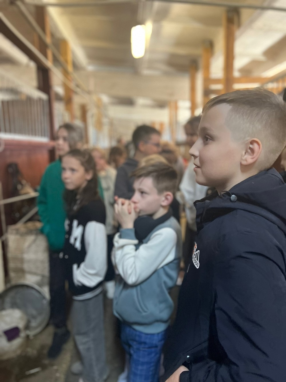 Визит на конюшню для взрослых и детей (9/11)