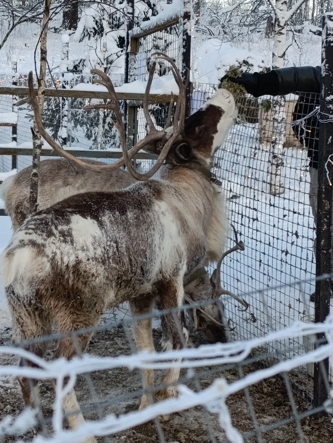 Очень все понравилось, но было безумно холодно. Может быть летом хотелось бы больше времени все посмотреть