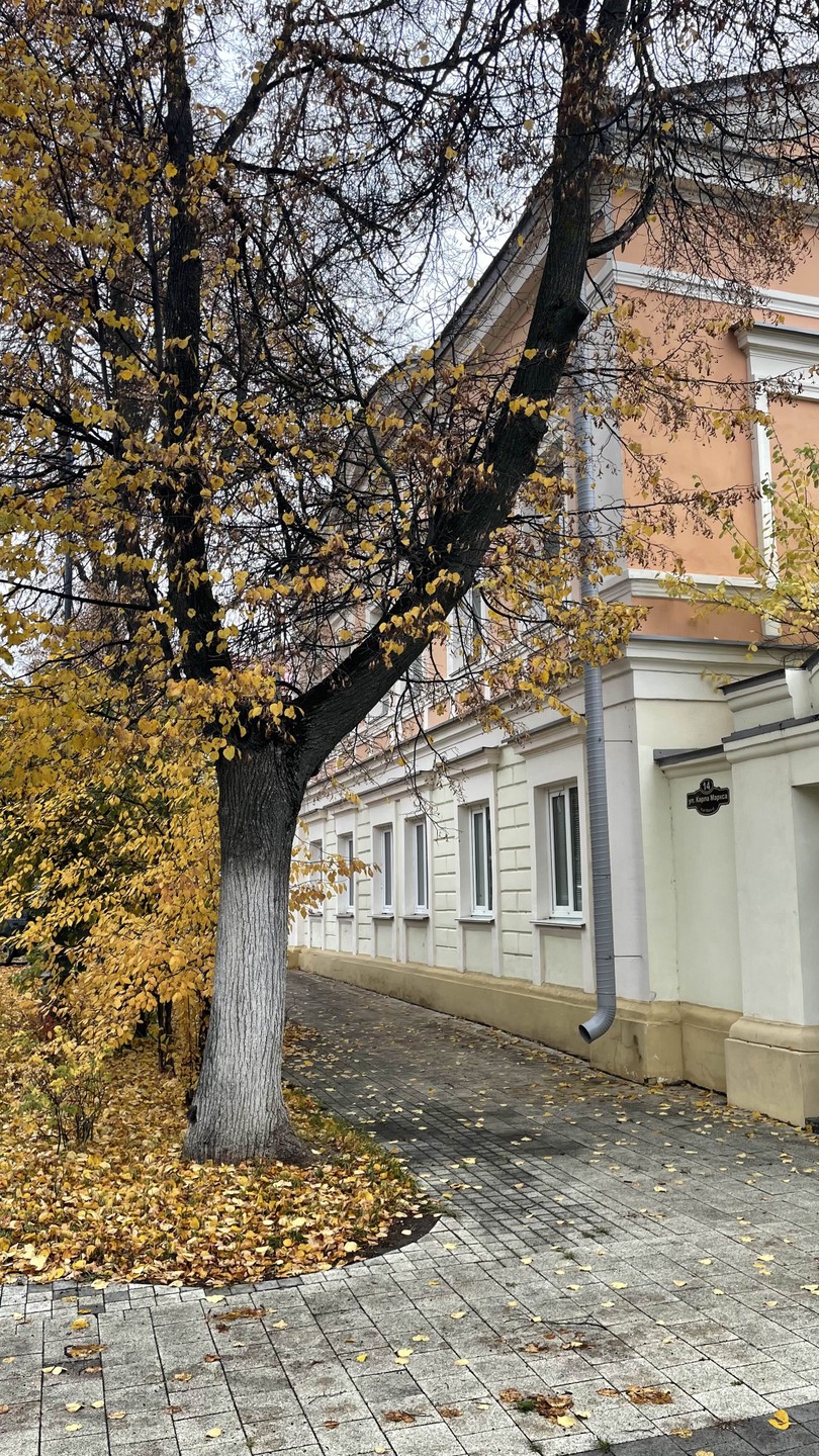 Интересный Арзамас и его старинные профессии (Ирина)