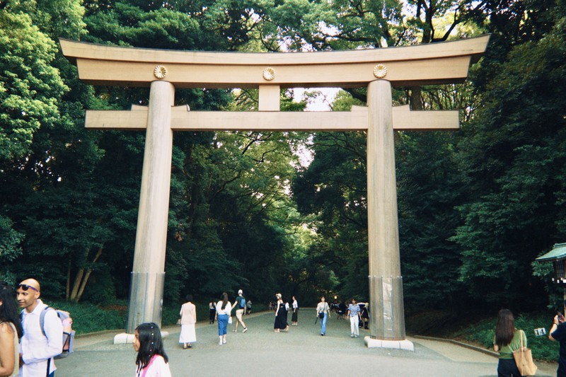 Токио: от священного леса до неоновых фантазий