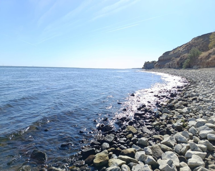 «Свои ладони в Волгу опусти»: на катамаране по волгоградскому морю