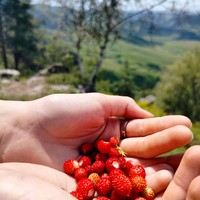 Фото отзыва 3: экскурсия "Горные окрестности Кисловодска и долина Волков за 1 день!"