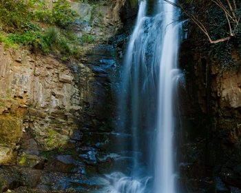 Экскурсия по Тбилиси, свободное время