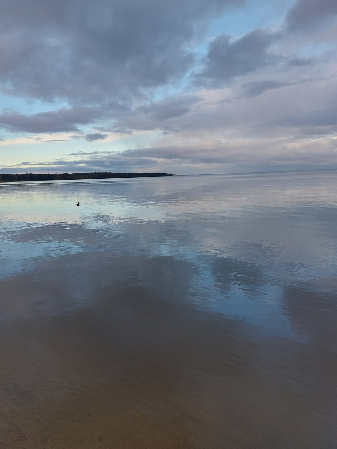 Мы очень рады, что Степан был нашим экскурсоводом