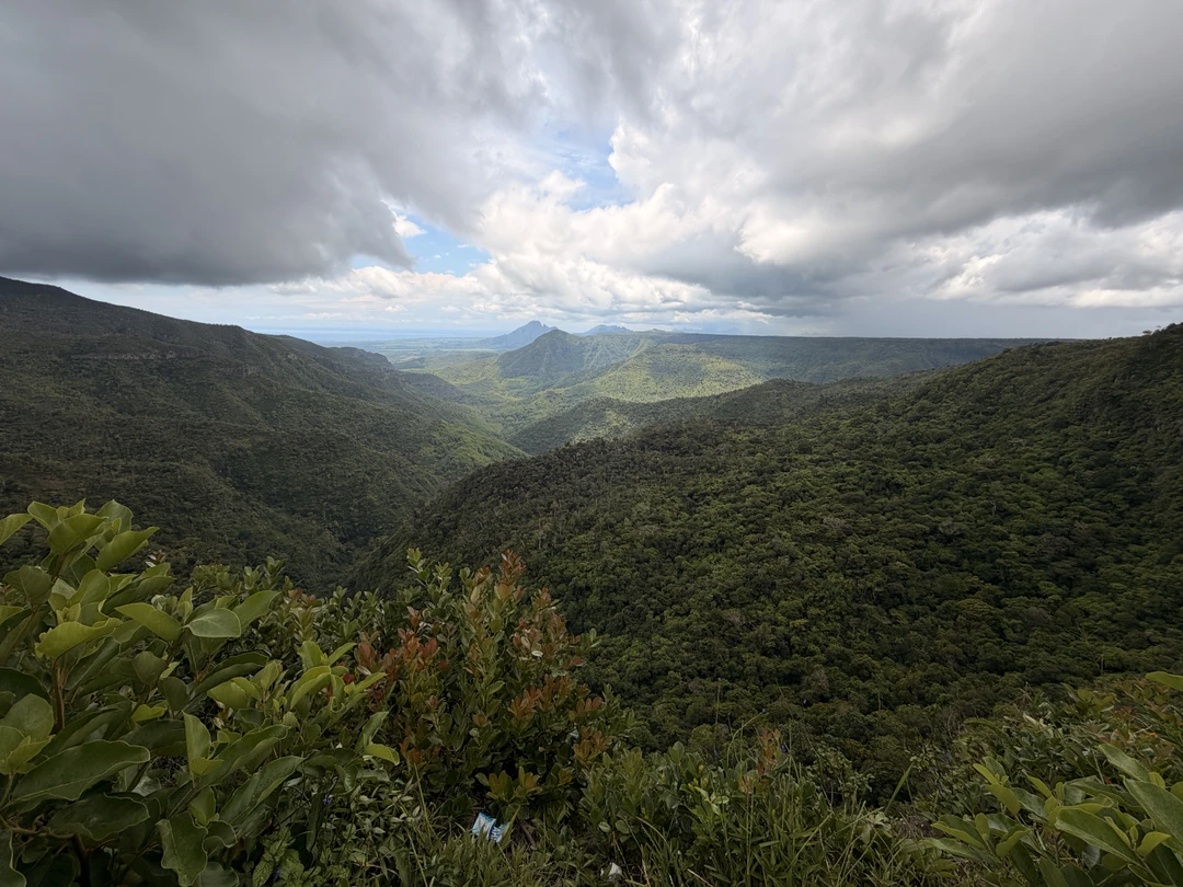 Отличная экскурсия. Дарья - великолепный гид, рассказывала все очень интересно, все локации на экскурсии красивые, никто
