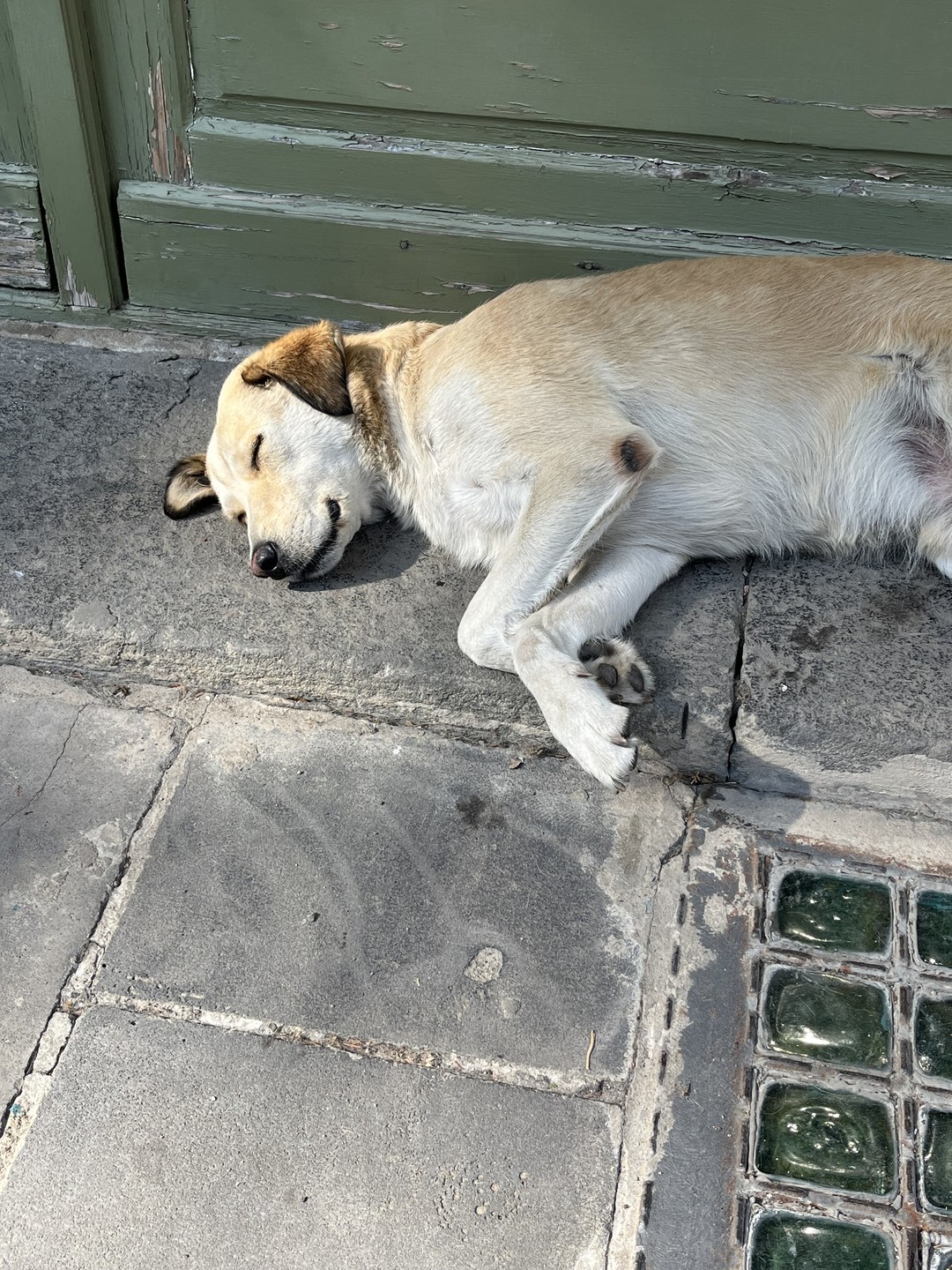 Тбилиси - любовь с первого взгляда (Роман)