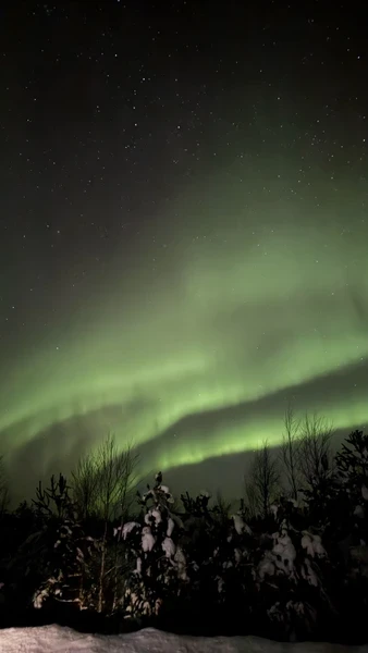 Поймали северное сияние! В тот день шансы были 50 на 50, но мы поехали и не
