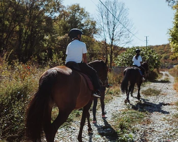 Конная прогулка